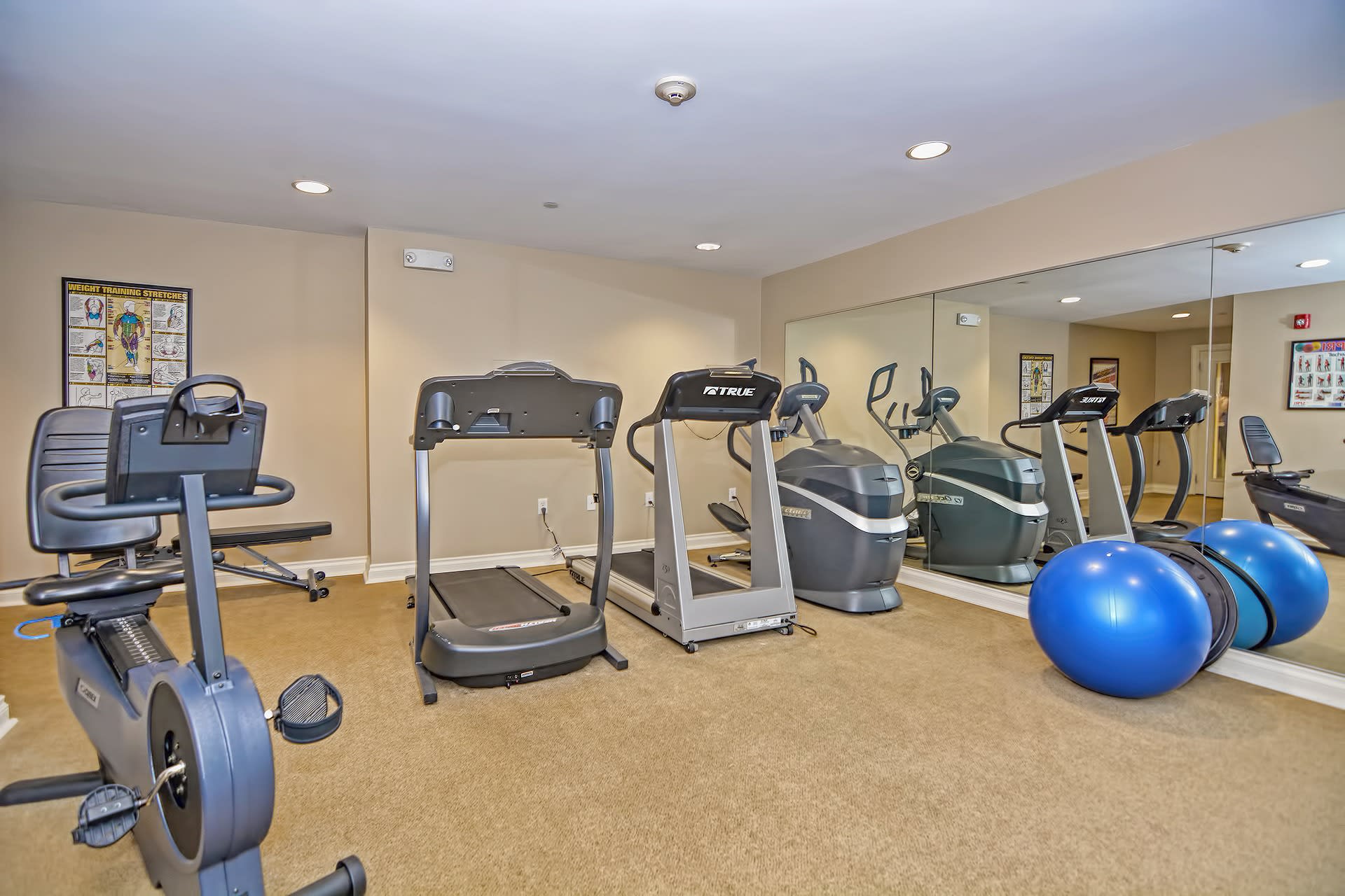 Complex Fitness Room