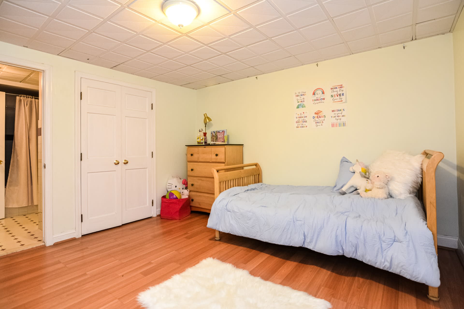 Lower level playroom/guest area