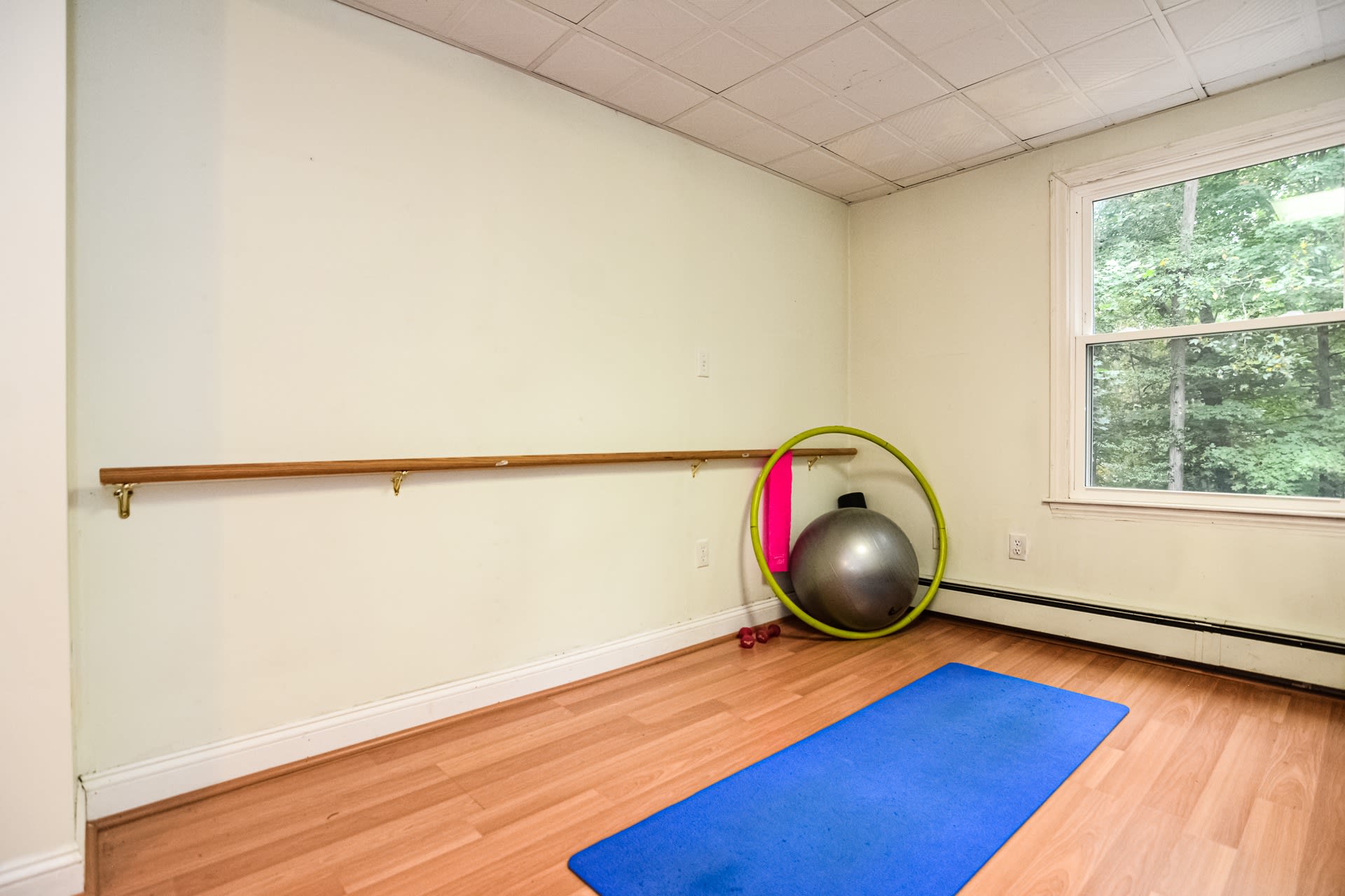 Lower level exercise/dance area