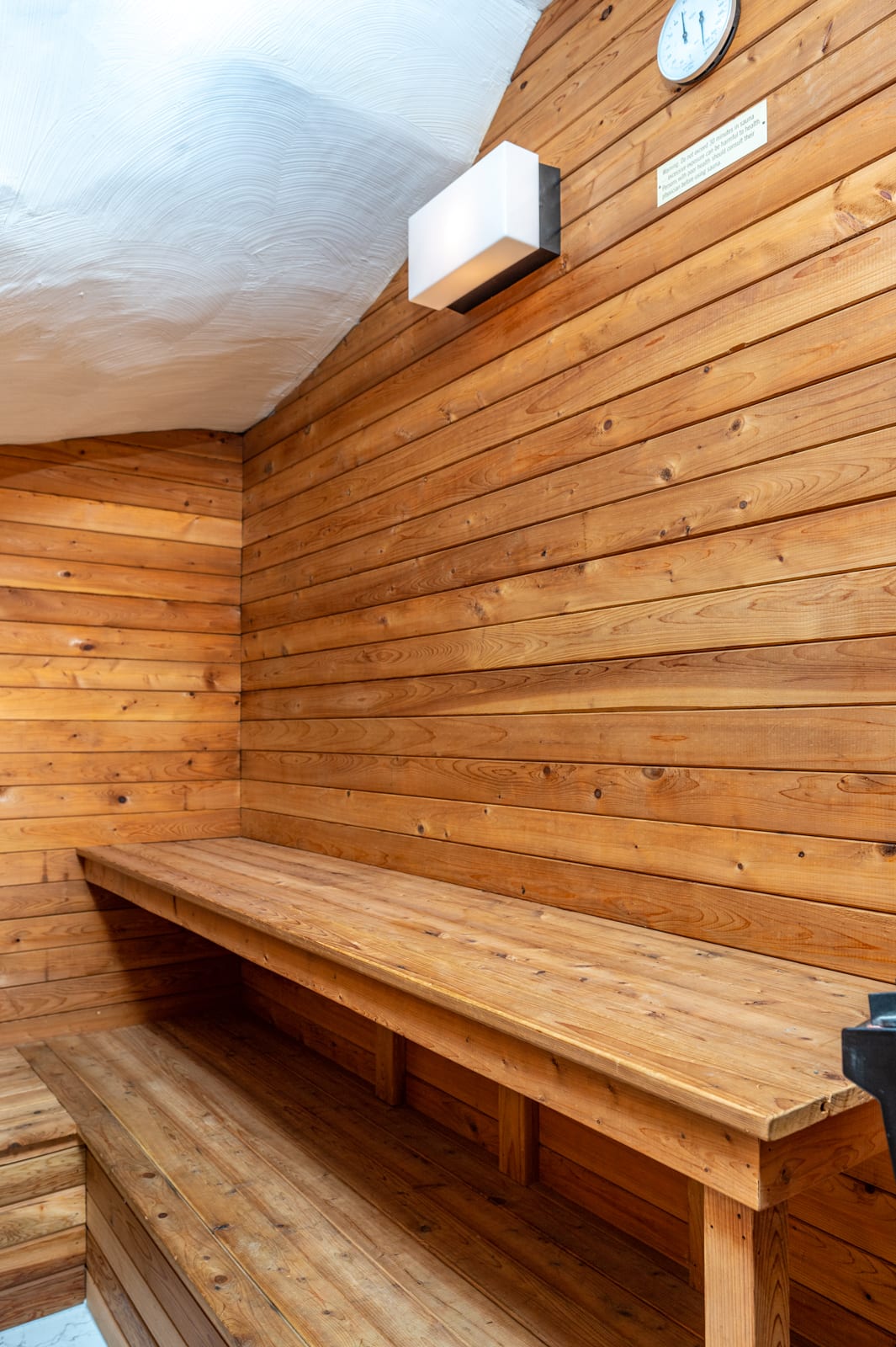 SOLD! 150 Walnut Street Unit 1 in Brookline sauna