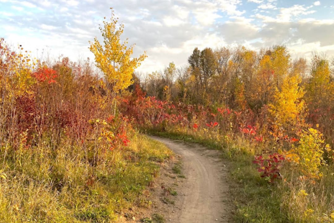 Savage inception-app-prod/NmYwYTg1NjMtMjBlZC00NTAyLWI5MTQtMjk5YjJiNmE4NTFi/content/2023/12/11f9c0ed70c60bb8410c9bf981c6b7f35ece13f5.png