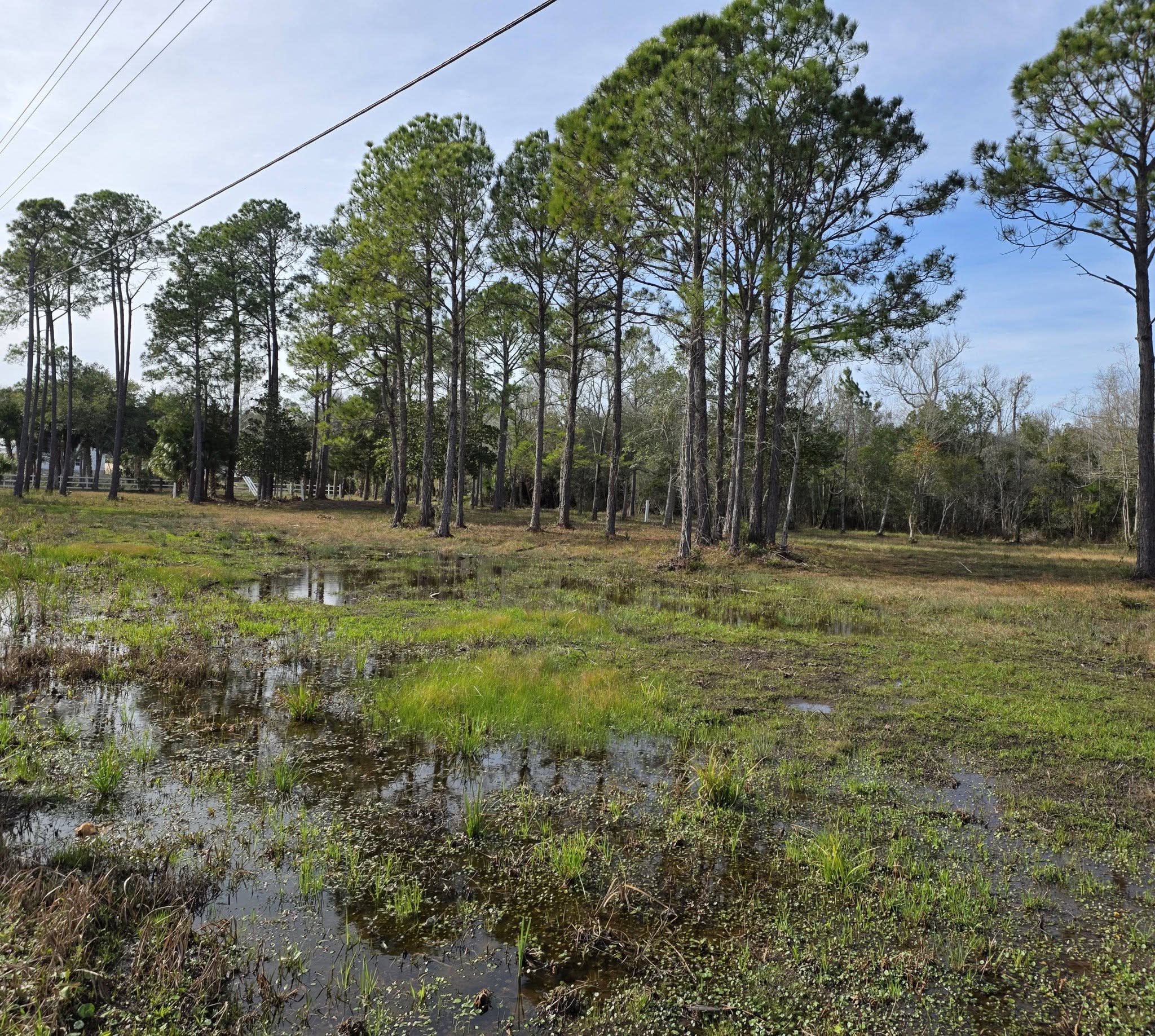 Walton County inception-app-prod/NmZhOWFlY2UtMzA4OC00ZjRiLWFlZDItZTc2MmMwZDlkODAx/content/2026/08/5cad81d2263f5fdbc67d6f9ce4224d9bd754031c.jpg