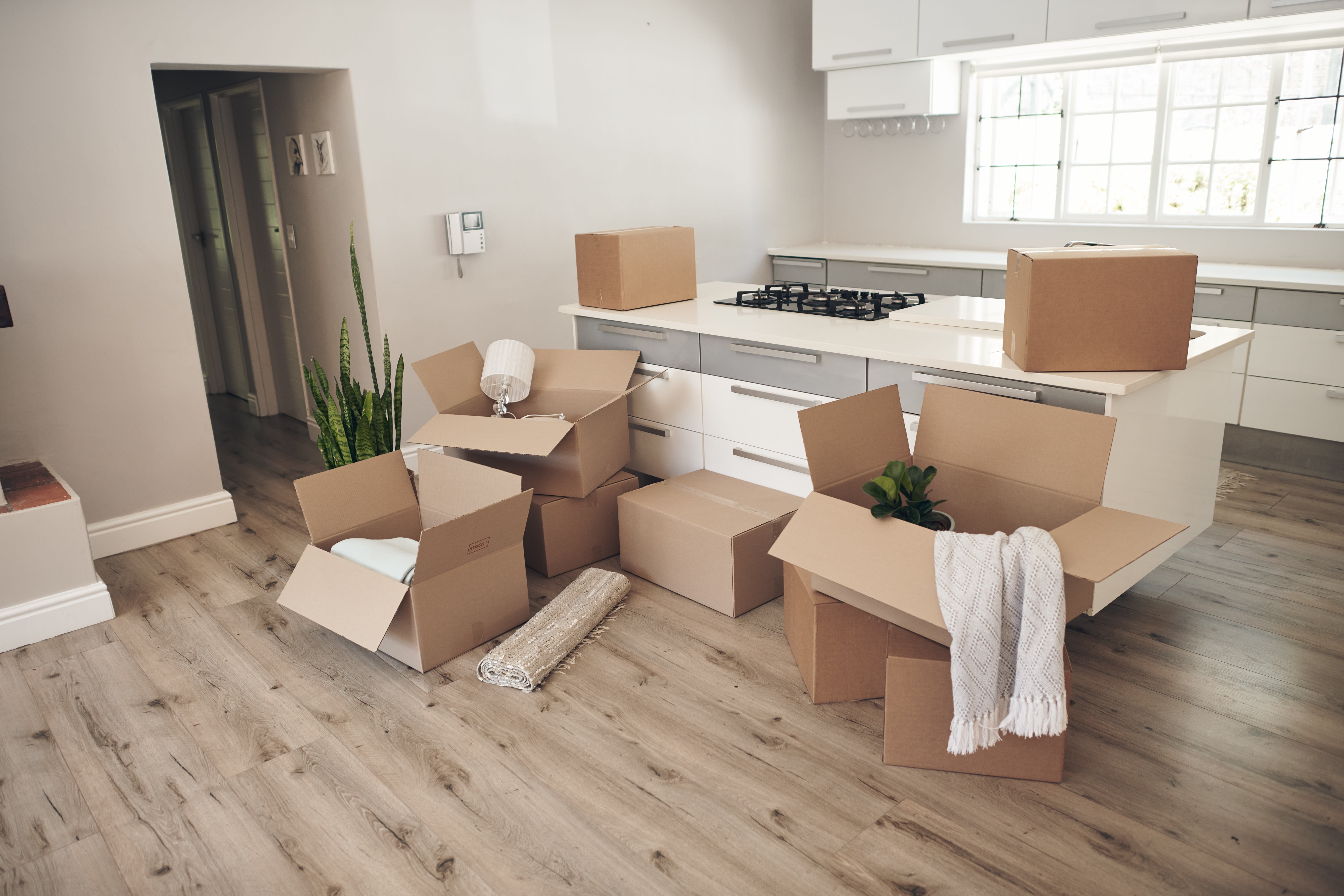 How To Pack Like A Pro inception-app-prod/NzA3N2Y0ZTEtZTYzYi00ZDY5LTllMTAtOTI0NmY4MDU4YWM2/content/2026/05/3a5bebd5d706072f7ca963b64bdcb9cca66828d0.jpg