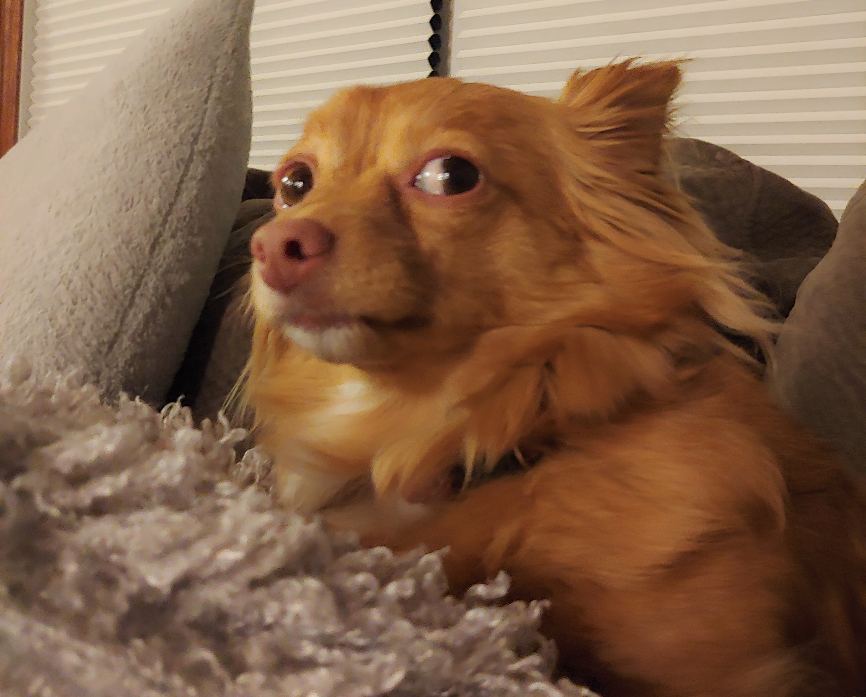 inception-app-prod/NzAwNzhlYTAtN2M1My00OGVlLTkwNGMtYmFjMzdjNTQwNzU2/content/2019/04/20190217_201026 %282%29.jpg