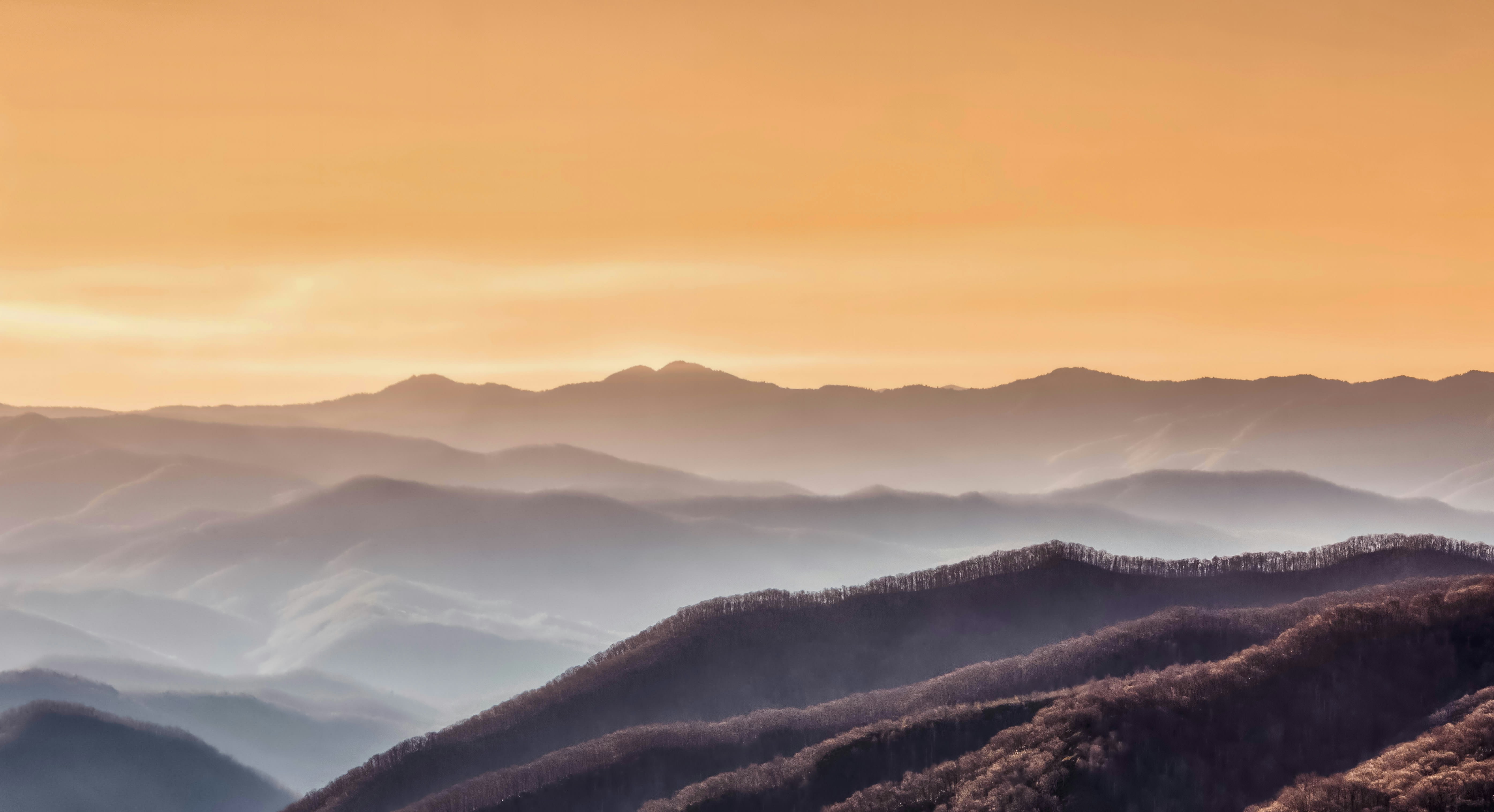 inception-app-prod/NzBkZGVjYjItY2MyZS00OTVmLTk1NTYtYTljNzcxYzFhN2Yy/content/2025/06/aa9ade4618d80a75e78707c14ab364db3fbfdb4d.jpg