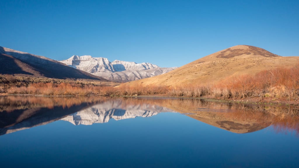 Daniel inception-app-prod/NzI2YTAzNWMtNTU5Zi00ZTk4LTkyMDUtNjJmMDQ0NTVkMTky/content/2021/11/52964e9854b4faf75d8f10c598dbc0d53f744807.jpeg