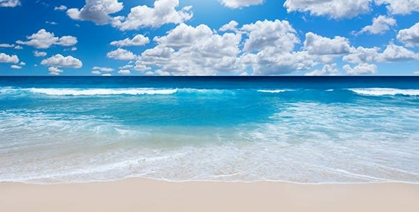 WFH? What about WFB? Work from Barbados inception-app-prod/NzJjZGM4ZDktMjdiMi00YTMzLTkzNDUtOTZjMTNhYzQ3NmQ0/content/2020/09/pic-2.jpg