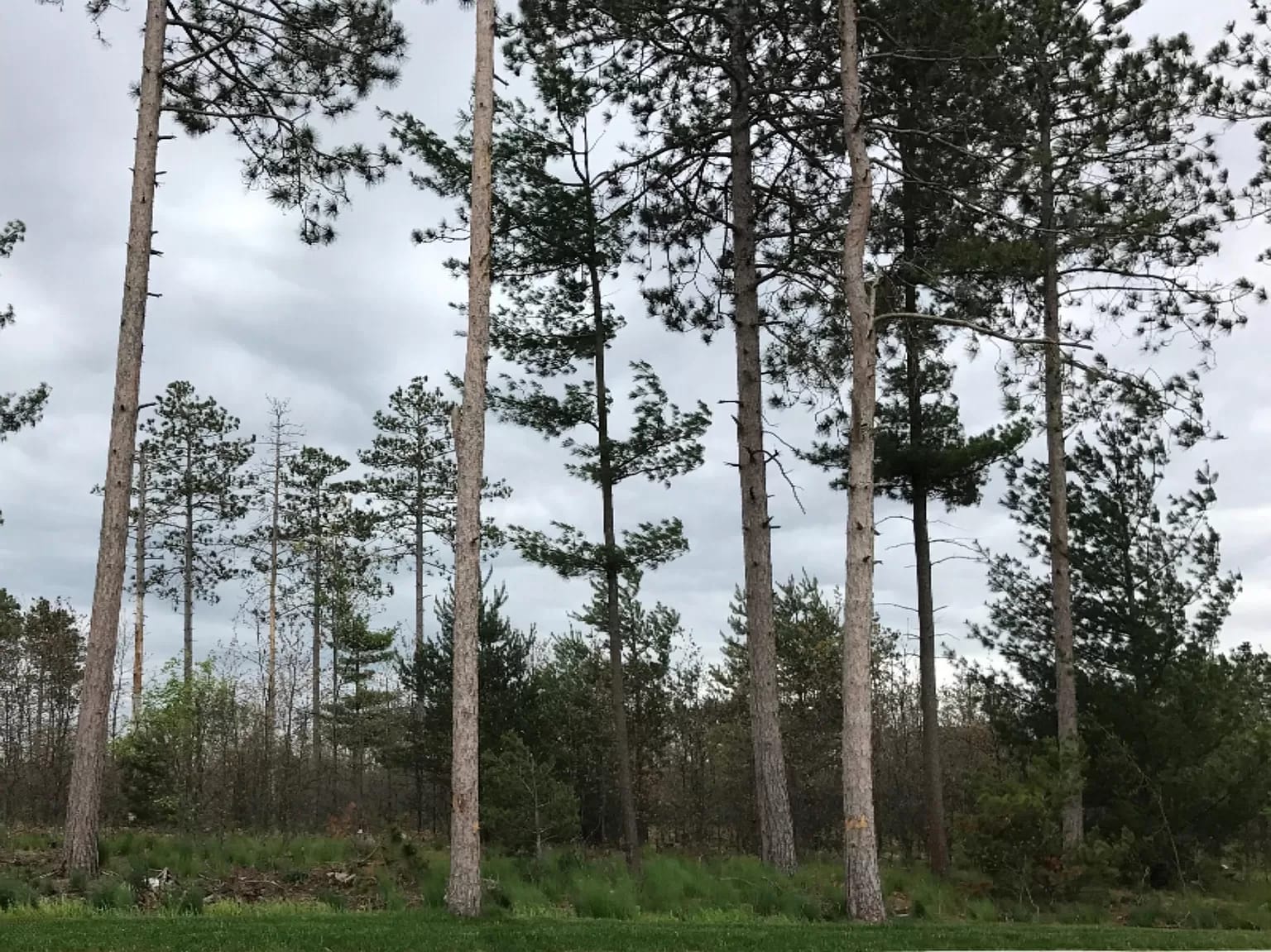 Muskegon inception-app-prod/NzM3NDEzOGEtNjc5YS00MmRjLWIzZGUtMzhmNzZhZDgyNTE2/content/2023/12/c336a8855fb9453a6fe43f30d1862093ccd29df5.webp