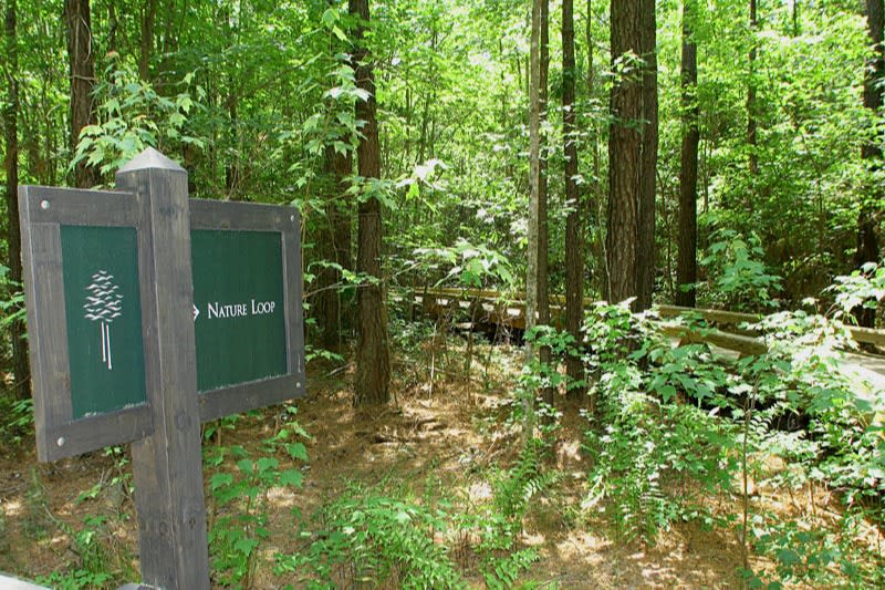 Brunswick Forest Buildable Land Lots Brunswick Forest Nature trails with home sites