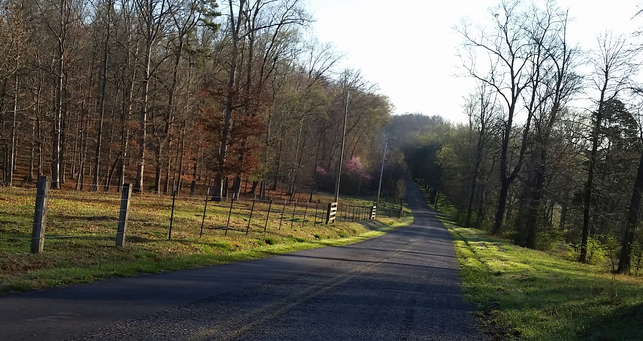 inception-app-prod/NzQ4YjJjNDctYmIyZS00NDU3LThhYTctZTE3MDc4ZmUzNjNh/content/2018/11/country road-2.jpg