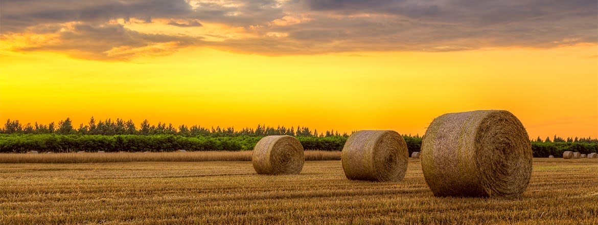 DE SOTO inception-app-prod/NzU2OGE2MTctNTViOC00NGQ1LTk3ZWYtZGUzN2JlNjgxMDBj/content/2022/07/6aec13e356cb5debcf631f12a24afd229d9a112f.jpg