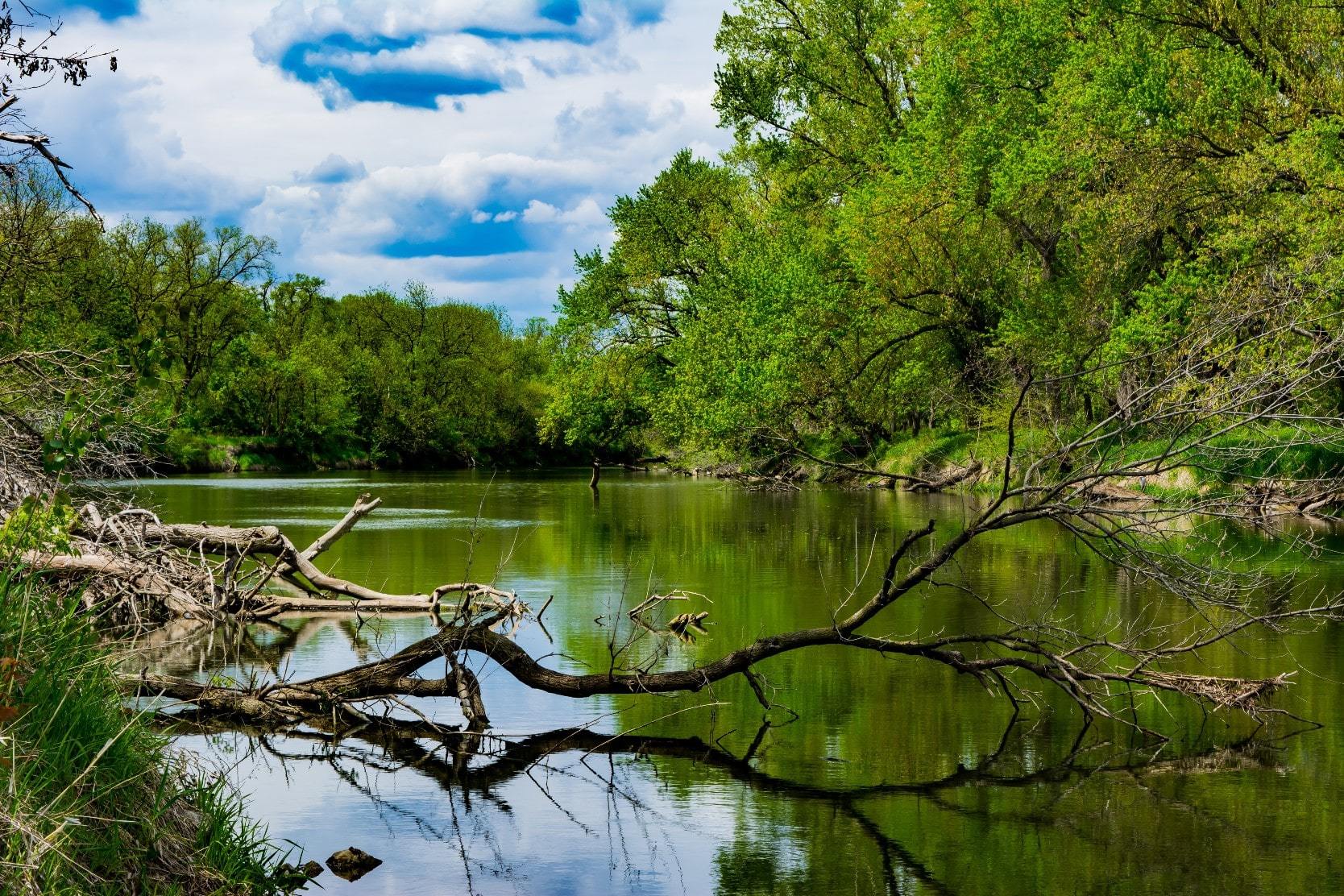 VAN METER inception-app-prod/NzU2OGE2MTctNTViOC00NGQ1LTk3ZWYtZGUzN2JlNjgxMDBj/content/2022/07/7f6e41fd6d5d4e80a912a8576b46d3634b21f002.jpg