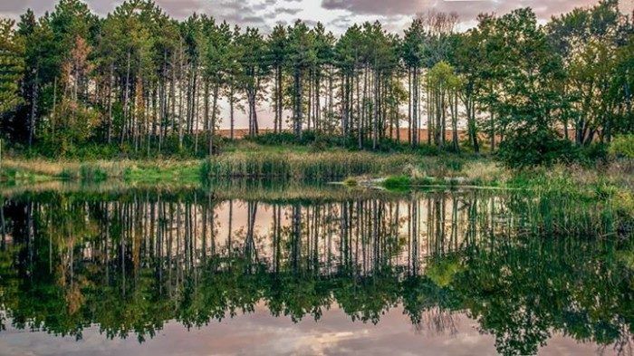 GRANGER inception-app-prod/NzU2OGE2MTctNTViOC00NGQ1LTk3ZWYtZGUzN2JlNjgxMDBj/content/2022/09/15a525eb3833a48eb85ae78d184b9ea483cd84a1.jpg