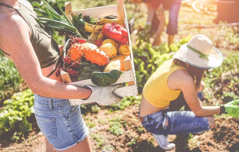 Agrihoods: The New Trend in Sustainable Living inception-app-prod/NzU2OGE2MTctNTViOC00NGQ1LTk3ZWYtZGUzN2JlNjgxMDBj/content/2023/02/c2090d1524bac630da47f24275011ec90058f99f.jpg