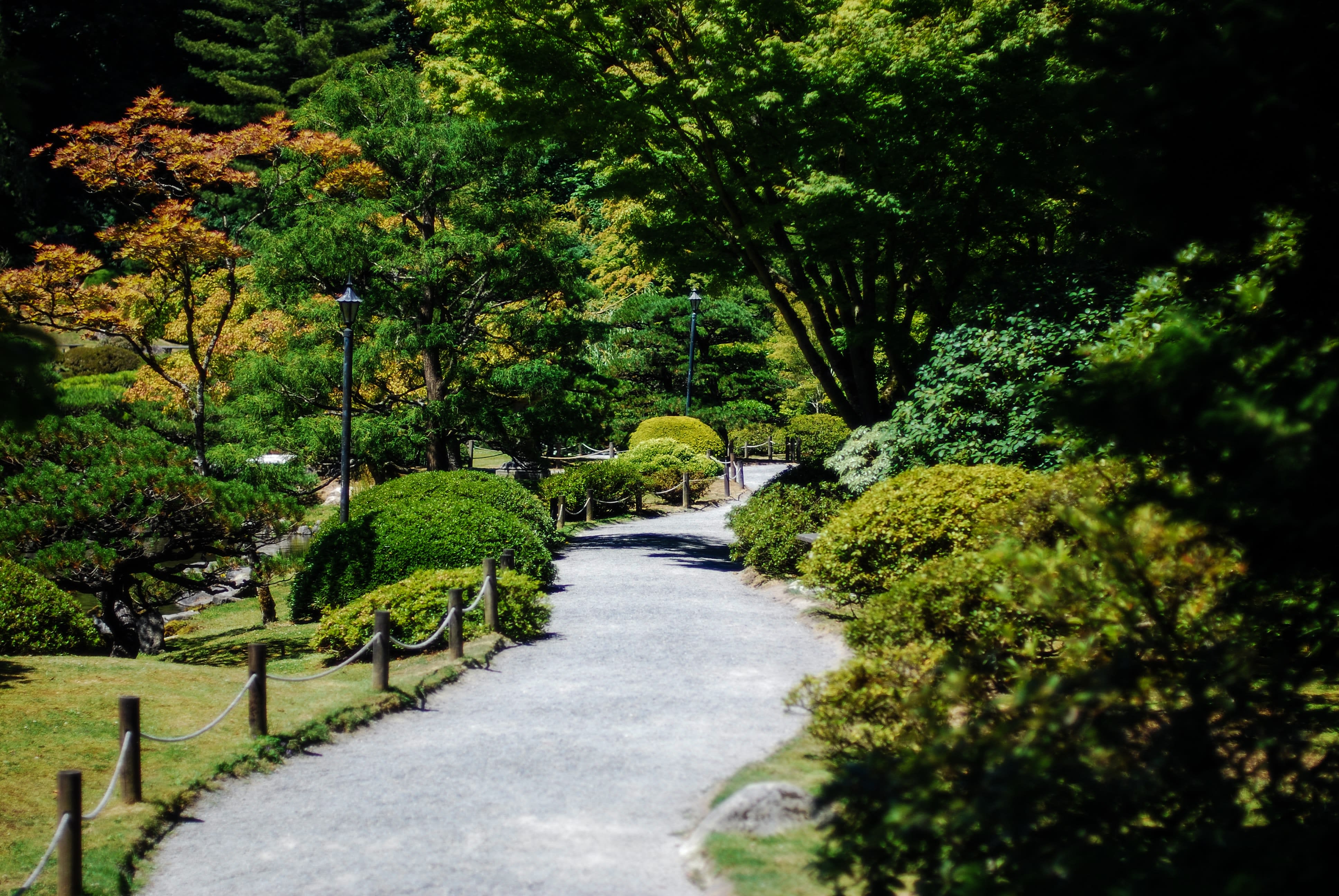 Sixteen Acres, MA inception-app-prod/NzUzY2Y1YTMtMjgwYi00NTJkLWI5NGUtNTkxNGRhNjJkNDlh/content/2021/07/kevin-RwqnLFDw0sE-unsplash.jpg