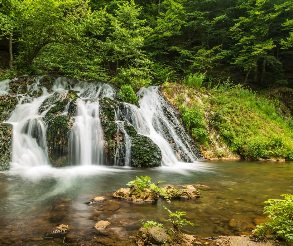 Montgomery County inception-app-prod/NzZiYmU2NDUtNTk1Ni00YTY4LWFmNWUtYjJjOGU2ZDEwMTQ1/content/2025/08/6ec783a8449f2a30bf9c0103866a90c9e3e98260.png