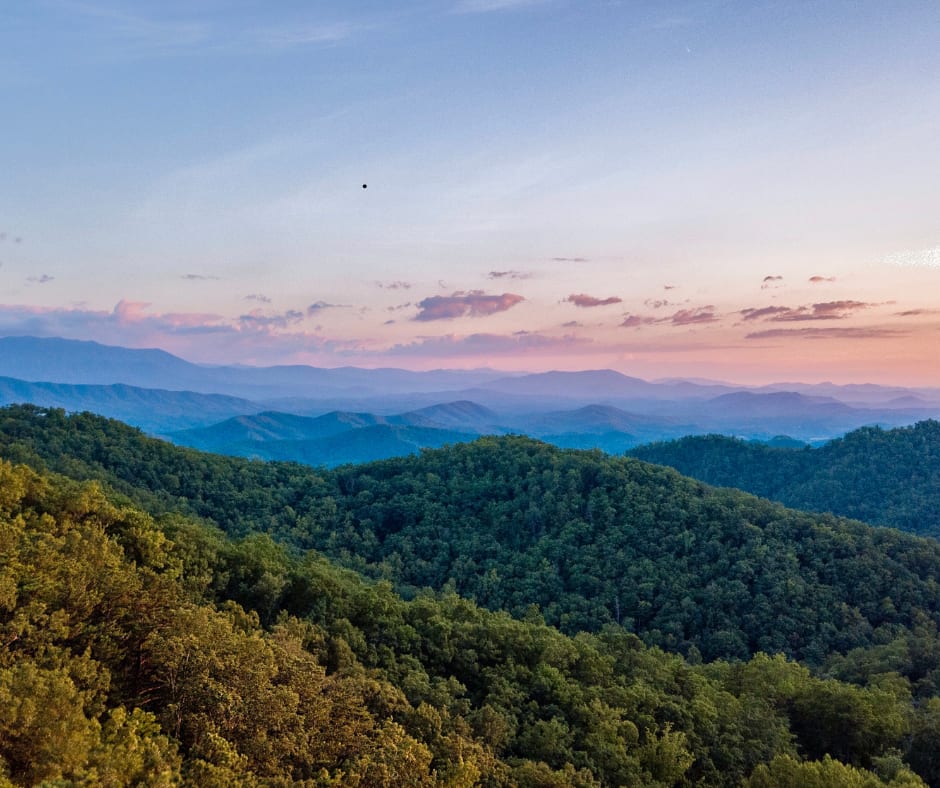 Dickson County inception-app-prod/NzZiYmU2NDUtNTk1Ni00YTY4LWFmNWUtYjJjOGU2ZDEwMTQ1/content/2025/08/d4985b2c3282073563ee9644f4704286128a15dc.png