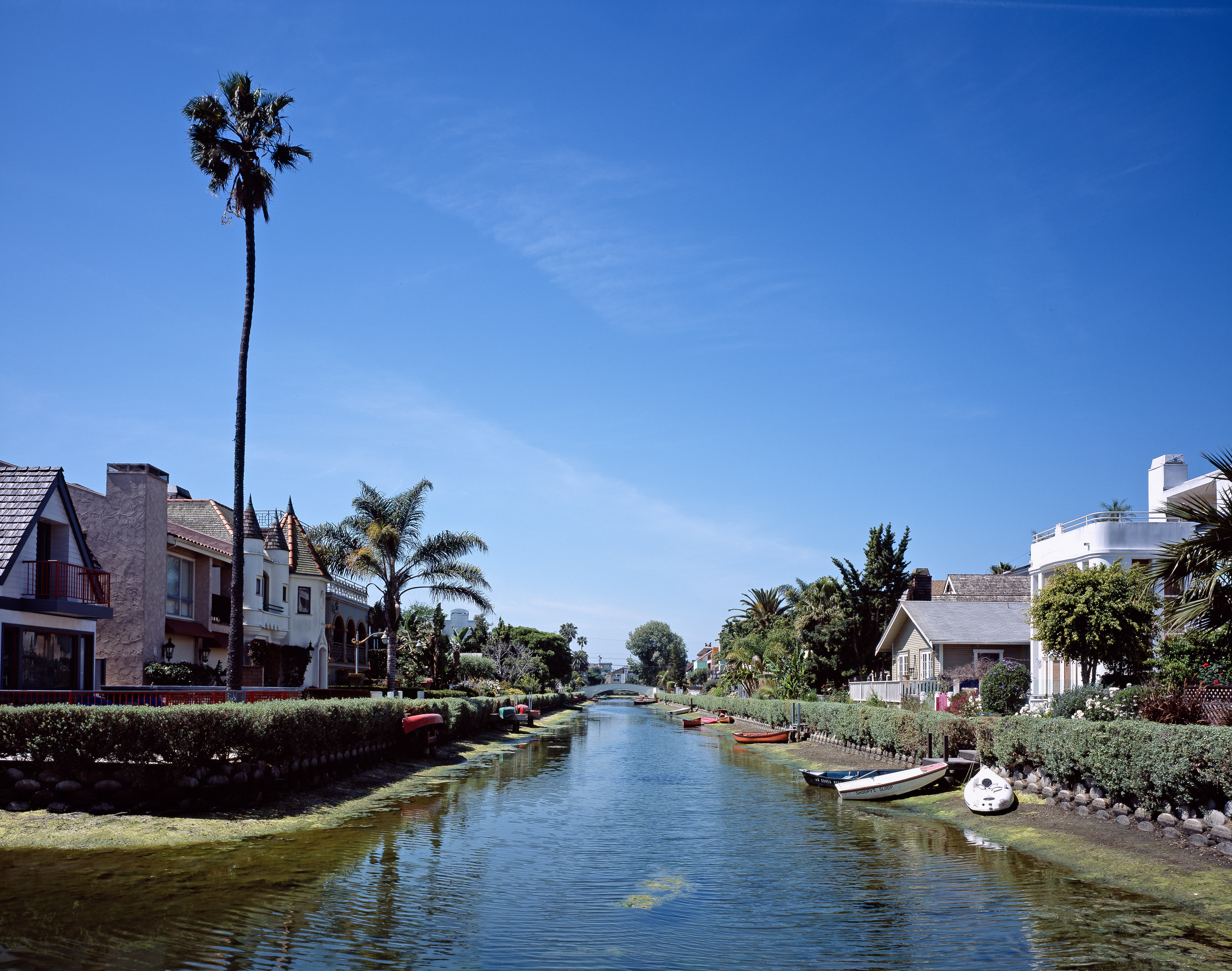 Venice Canals inception-app-prod/NzdjOWQ0ODEtMGI3My00NzFmLWI0NjctMjc0ODNmYjdiOWE0/content/2026/07/6c2eab7a2e611eb9f8991807cb16f8fa3305907a.jpg