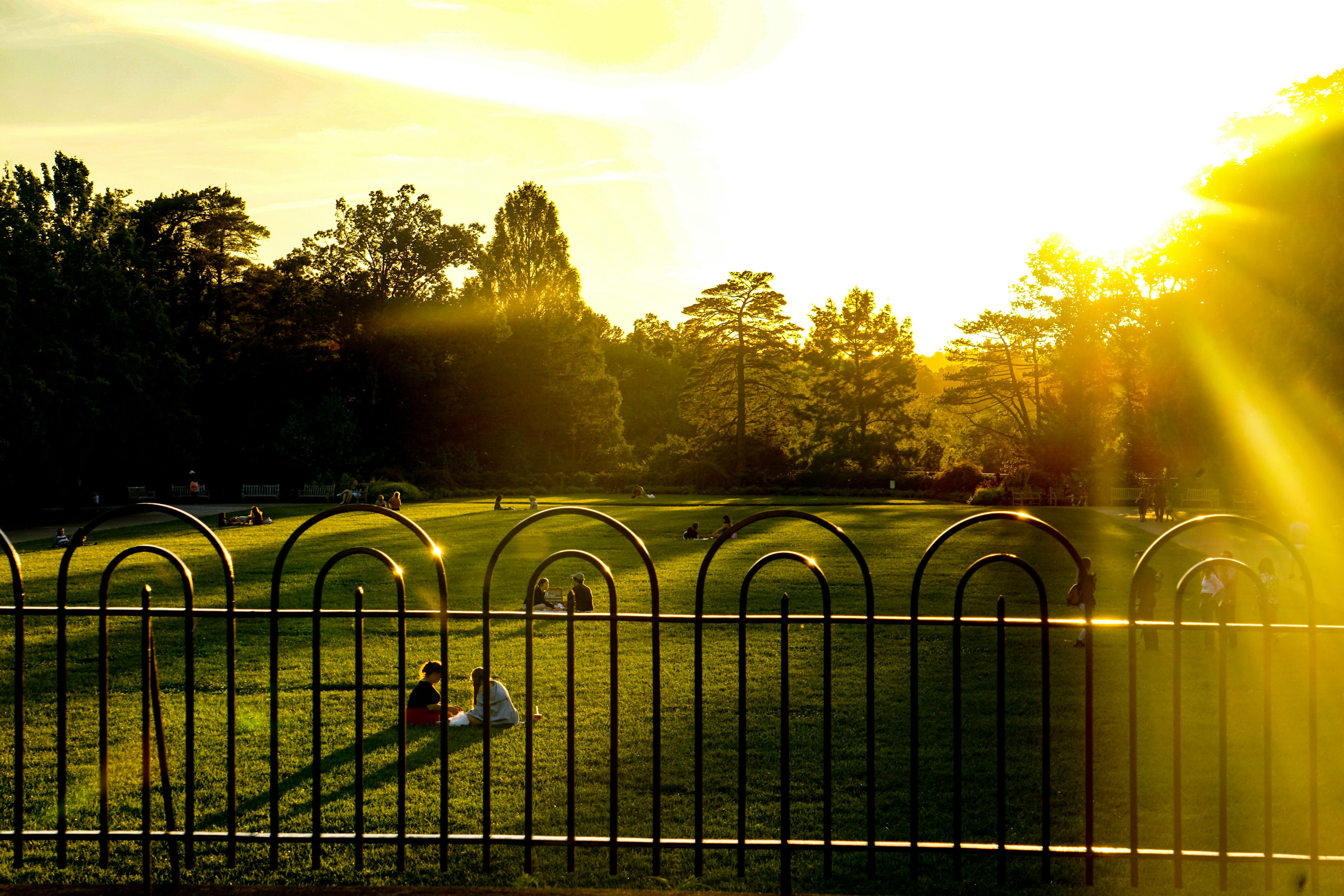 Sunset Park inception-app-prod/NzdjOWQ0ODEtMGI3My00NzFmLWI0NjctMjc0ODNmYjdiOWE0/content/2026/08/076d5c740b5146cf7eef611bb0fb8ad9656c8228.jpg