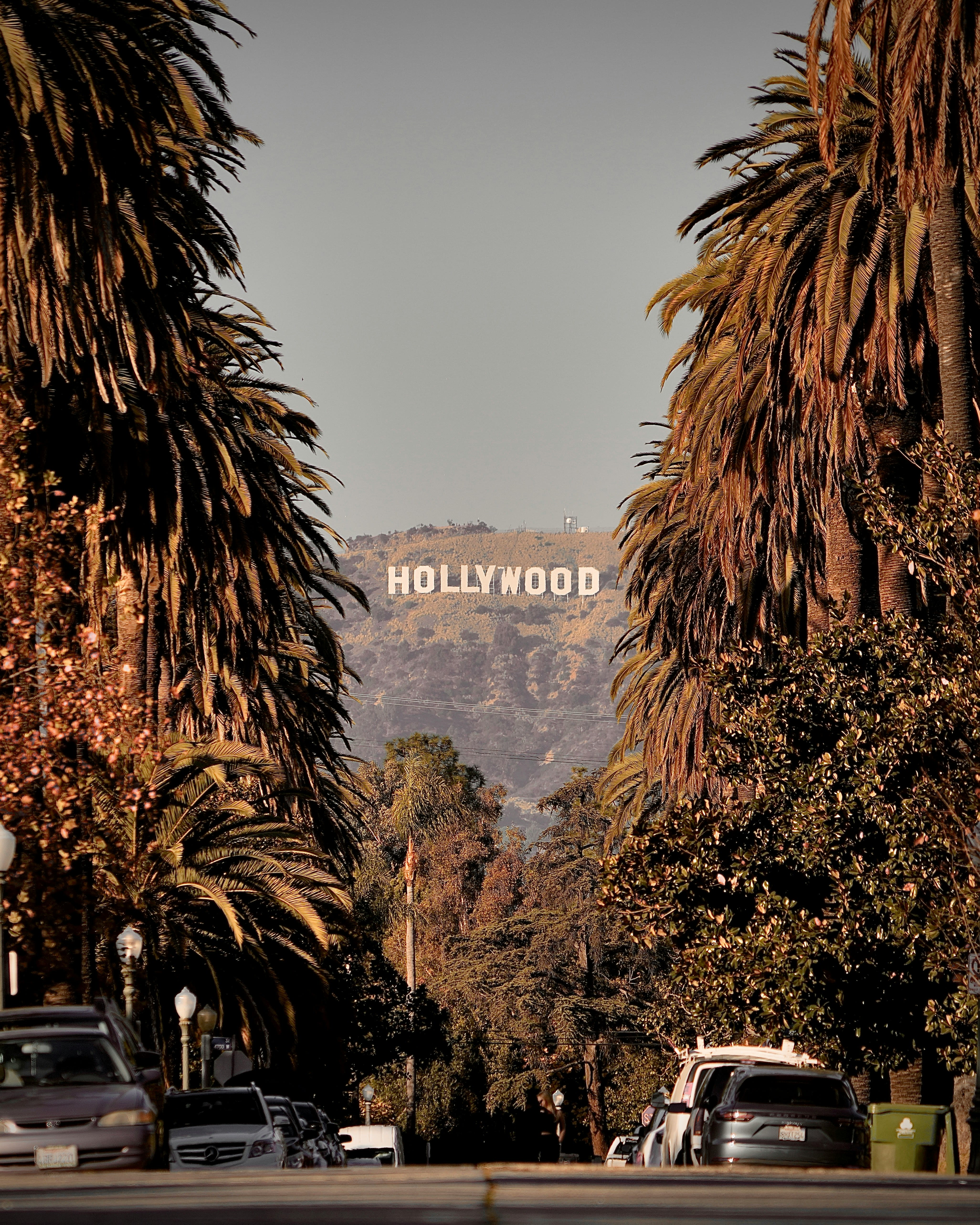 Hollywoodland inception-app-prod/NzdjOWQ0ODEtMGI3My00NzFmLWI0NjctMjc0ODNmYjdiOWE0/content/2026/08/b346fa0672cbc34f87deae718ad1e28d24da29a1.jpg