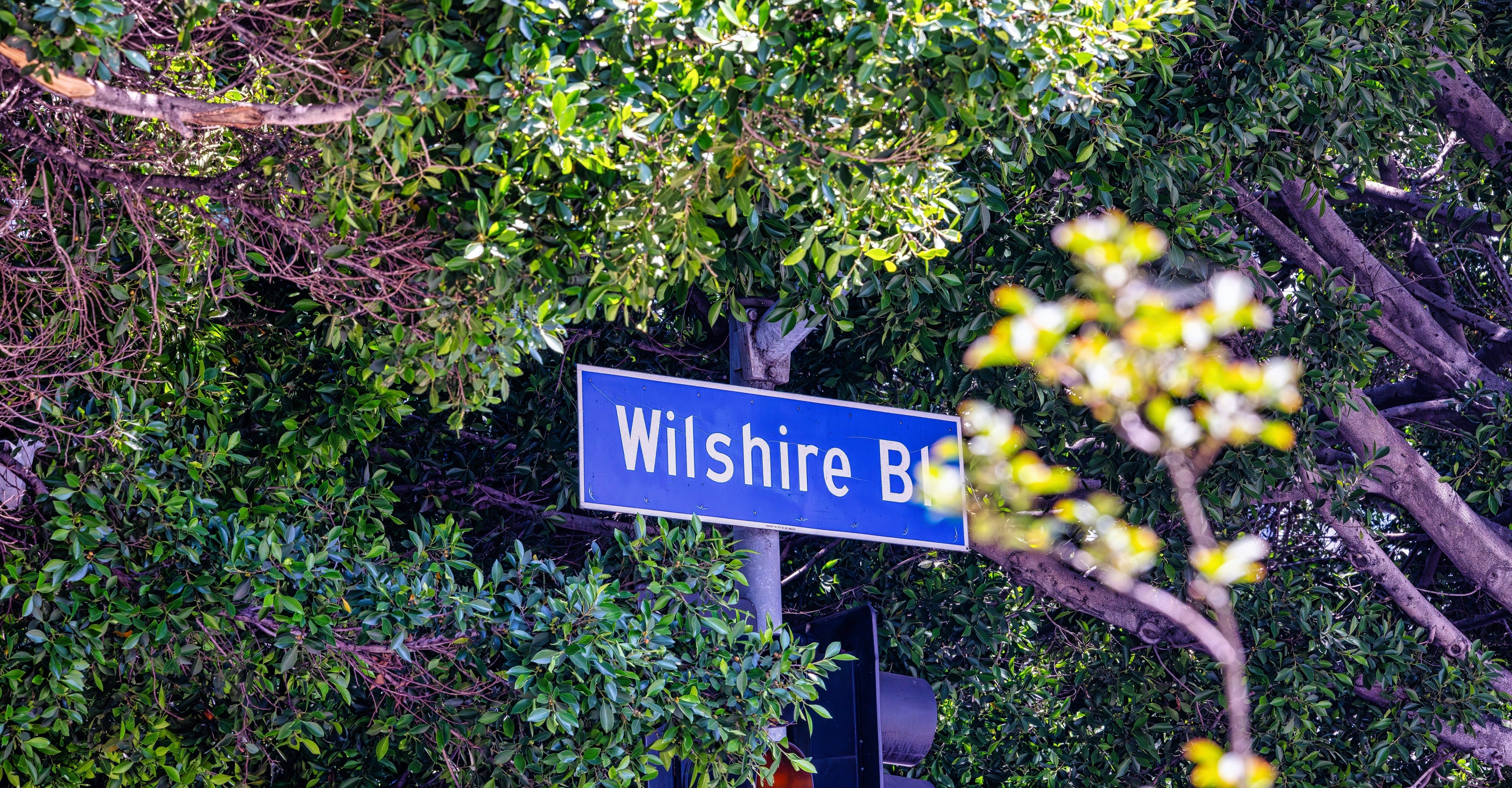 Wilshire Corridor Los Angeles: History, Real Estate and Why Buyers Love It inception-app-prod/NzdjOWQ0ODEtMGI3My00NzFmLWI0NjctMjc0ODNmYjdiOWE0/content/2026/08/e33068a06af4335a318c3d6d4caa5d1df009b9b3.jpg