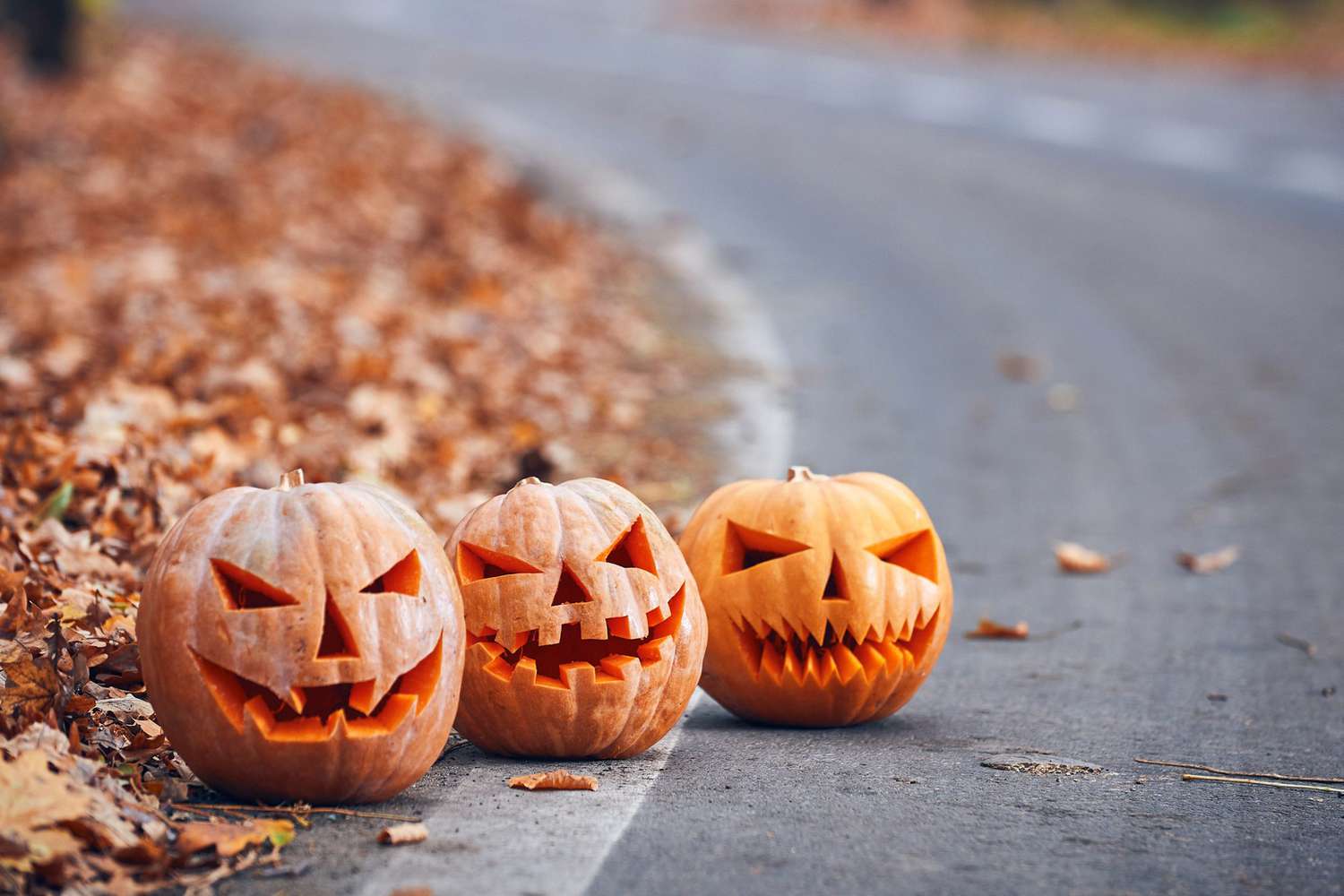 👻 Haunted Fun in Cincinnati & NKY – This October! 👻 inception-app-prod/NzlkYWFhZmEtN2RhNC00YTRhLTg0ZTItZGEzM2VjYmVjODUx/content/2025/09/f9afccb5716a5a9c6bf9efa92639163a91937c4c.jpg