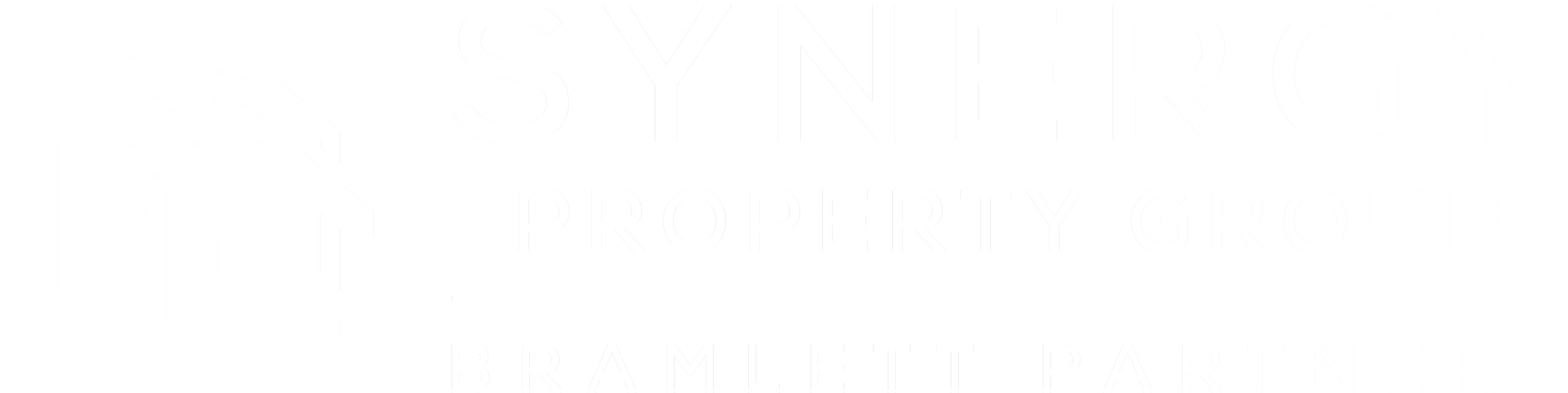 Synergy Property Group logo