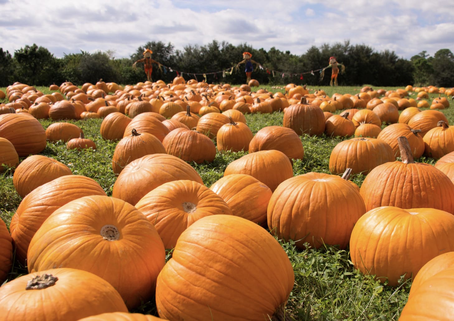 The Santa Clarita Fall Bucket List: Events, Trails, Date Nights, and the Best Coffee in the Valley inception-app-prod/ODBhMzFhMDUtYTIzOS00NzVkLWJmYWItOThhOWJmZWQ1ZWY3/content/2026/09/7d1a19a3acda173d69a0cc80b6e7acb6a6cd3b85.png