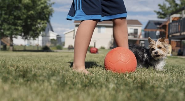 Two New Surveys Indicate Urban to Suburban Lean inception-app-prod/ODE5Y2M1MDEtMzUyOC00Yjg4LThhNjktZWU2NTUwOGEyY2M4/content/2020/09/two-new-surveys-indicate-urban-to-suburban-lean.jpg