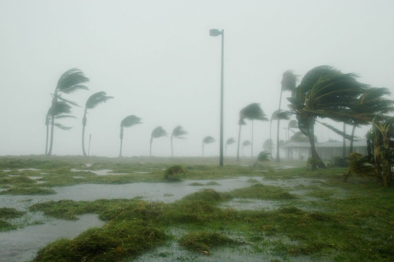Florida Hurricane Paralegals – Florida Litigation Paralegals inception-app-prod/ODE5Y2M1MDEtMzUyOC00Yjg4LThhNjktZWU2NTUwOGEyY2M4/content/2024/10/2908abe9fb01efe8ebca7bec1299dc5ab211871f.jpg