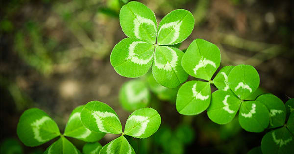 Don’t Let Your “Luck” Run Out inception-app-prod/ODE5Y2M1MDEtMzUyOC00Yjg4LThhNjktZWU2NTUwOGEyY2M4%2Fmedia%2F2015%2F03%2FLuck-Run-Out2.jpg