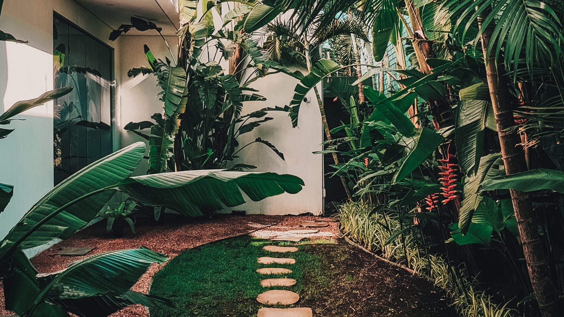 inception-app-prod/ODEyNGZlMDMtNWI2YS00NDIzLTg3YWUtZWQxMDZjZmQ3OWUx/content/2019/12/gardenmain-2.jpg