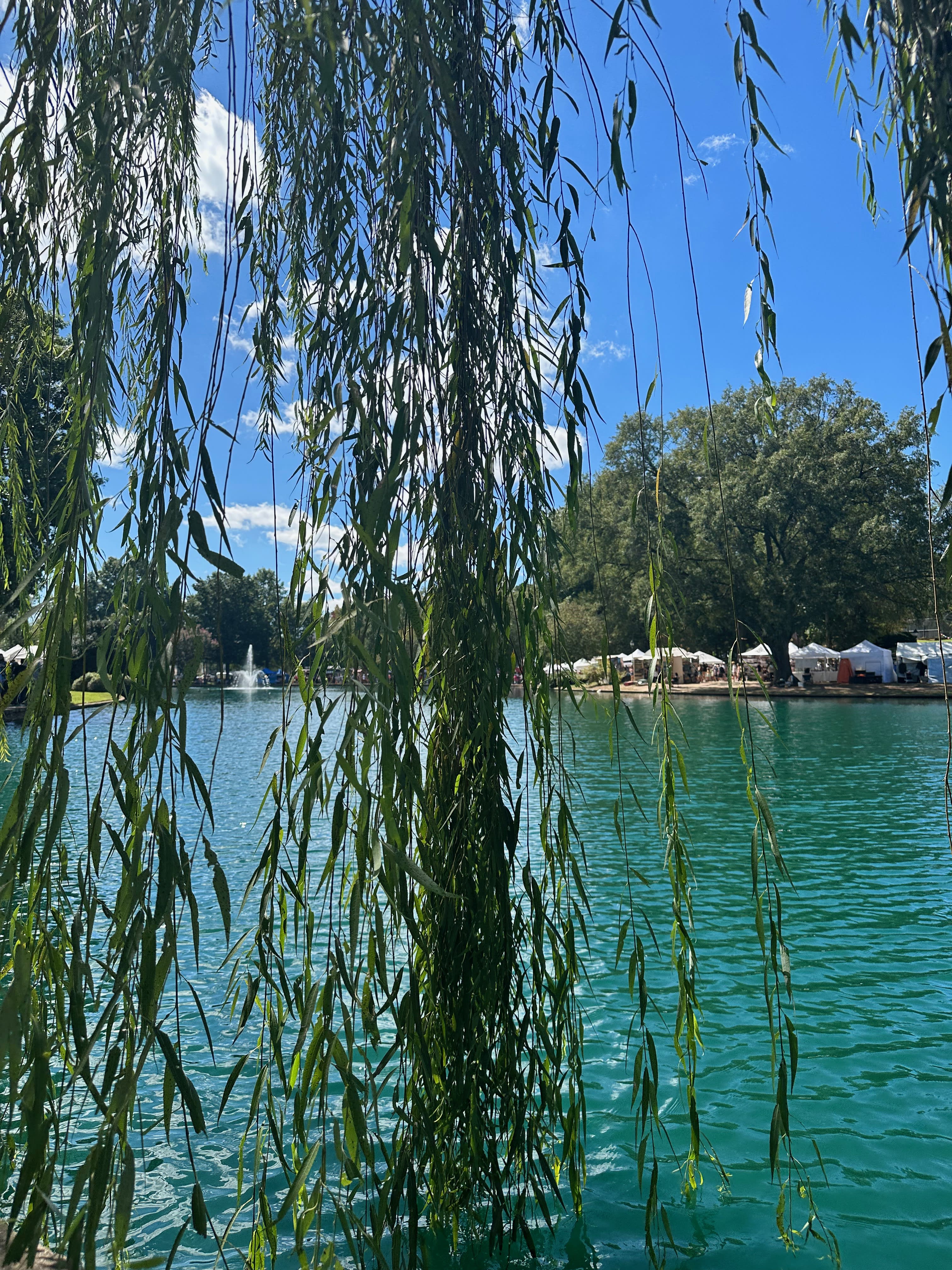 Festival in the Park * September