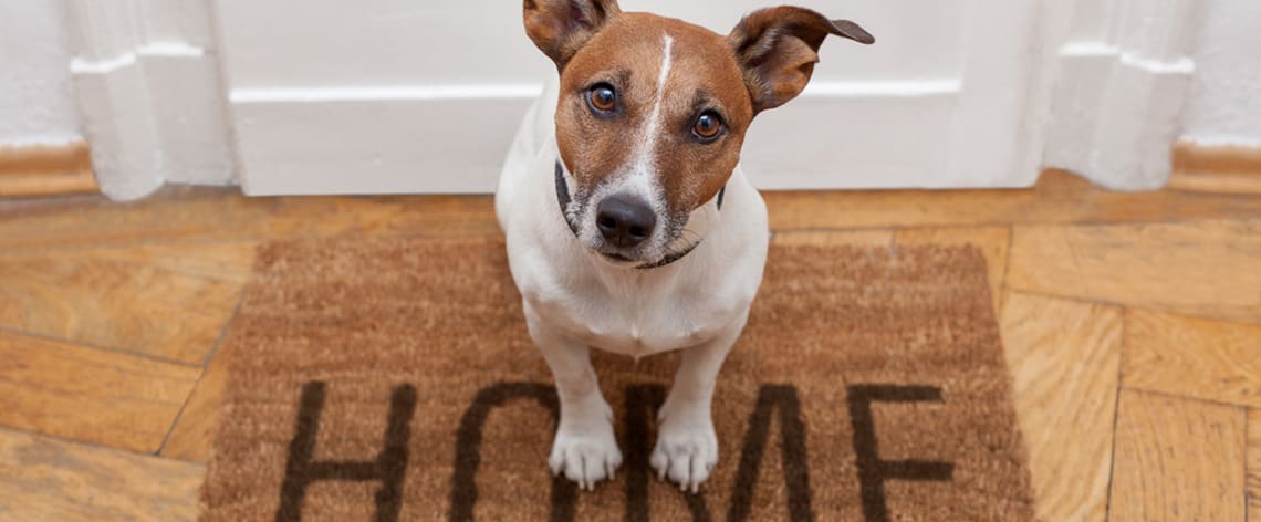 What Does Home Mean to You? inception-app-prod/ODMyMDNmMTctMDQyMy00NWY5LWJlNzgtM2Y4M2I0MzNmMmM5/content/2021/02/368a4a0446e2407cd00ca58baa33f205-3.jpg