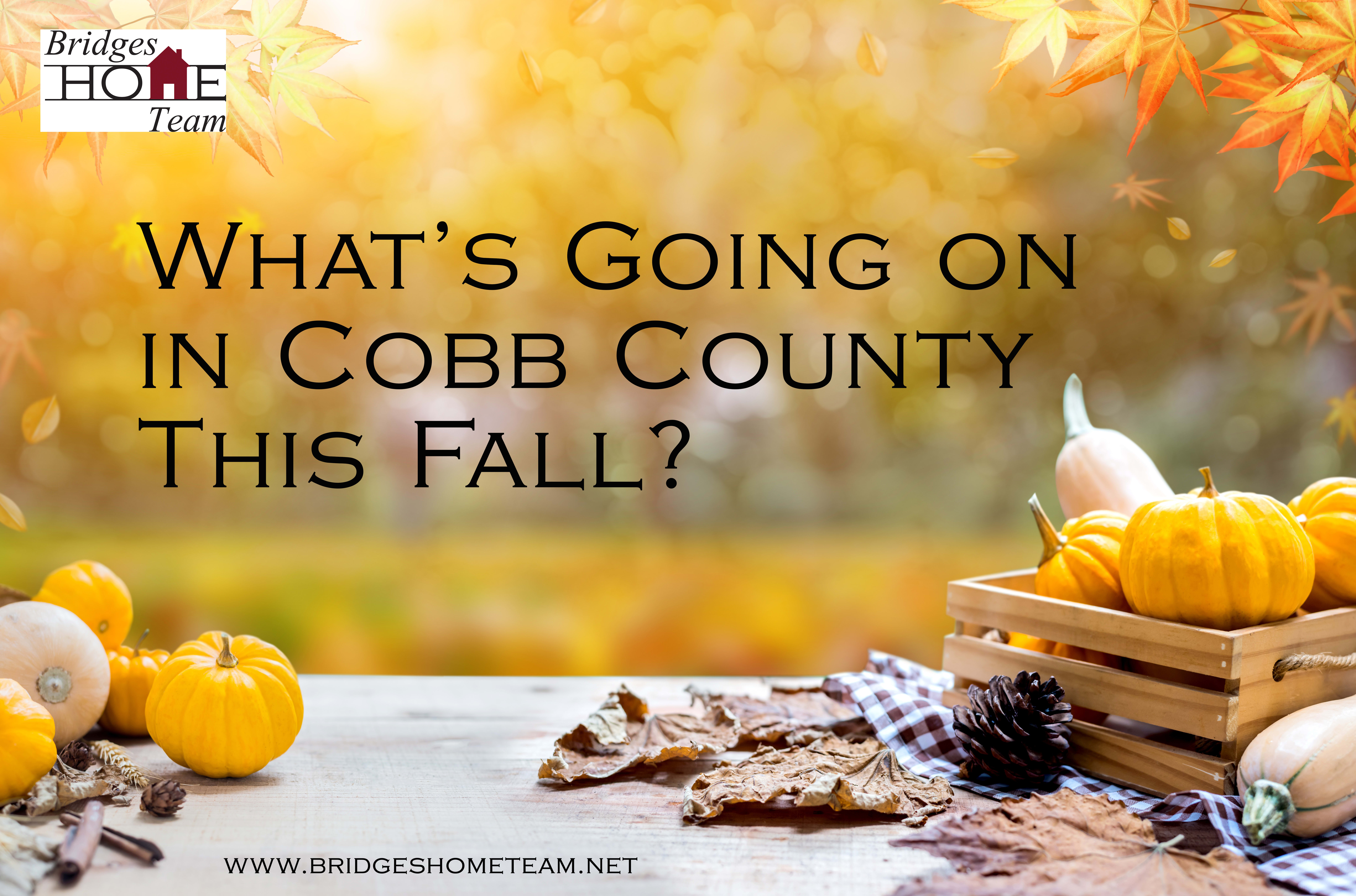 What's Going on in Cobb County This Fall? inception-app-prod/ODMzN2QxMTktNjU1ZS00YmI4LWI3ZjUtN2RjNmIwNzViZGRj%2Fcontent%2F2018%2F09%2FCobb Events-2.jpg