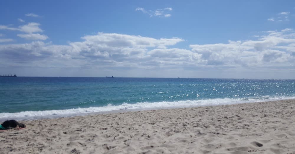 inception-app-prod/ODVjZDAzZjYtYWZjYi00NzFkLTk4ZTgtYWZjYmRhZGI2OTg4/content/2021/01/oceanviewbeach.jfif