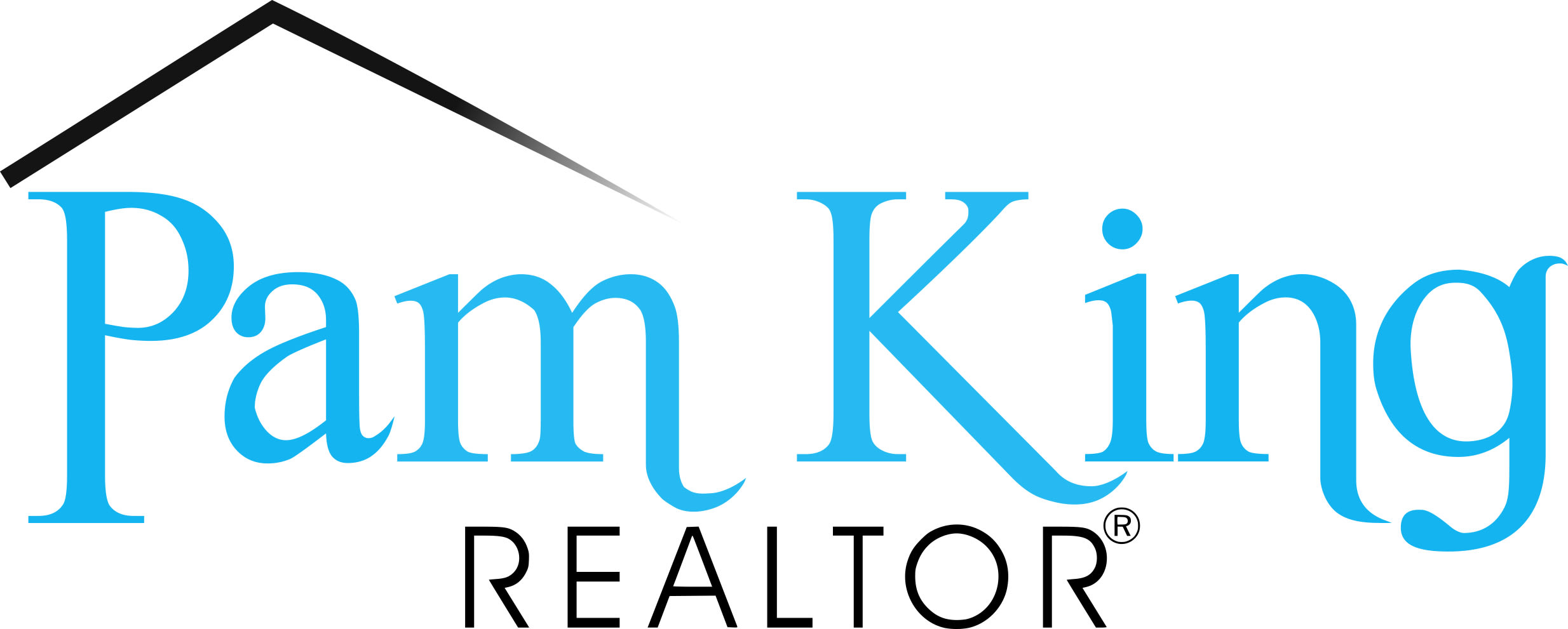 Pam King inception-app-prod/ODYxMjhhMGYtYzA3My00MjA4LTk5ODEtYmIzNTIyMDViOTFj/content/2023/10/a5c581dfb312ff2df574a1a51f7e0e3783f3d039.jpg