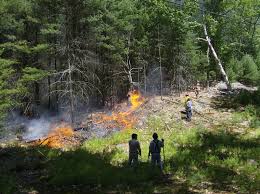 inception-app-prod/ODZiMmU1ZmEtZjkzNC00YTZlLWI1ZWQtNWFlZmM5YmY1YTA4/content/2020/01/fire-2009.jfif