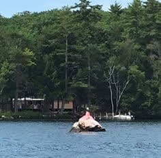 Nipple Rock on Lake Winnipesaukee inception-app-prod/ODZiMmU1ZmEtZjkzNC00YTZlLWI1ZWQtNWFlZmM5YmY1YTA4/content/2025/07/1b0eeead1dd6758c4b6e7e9edc53bbf90c01d7be.jpg