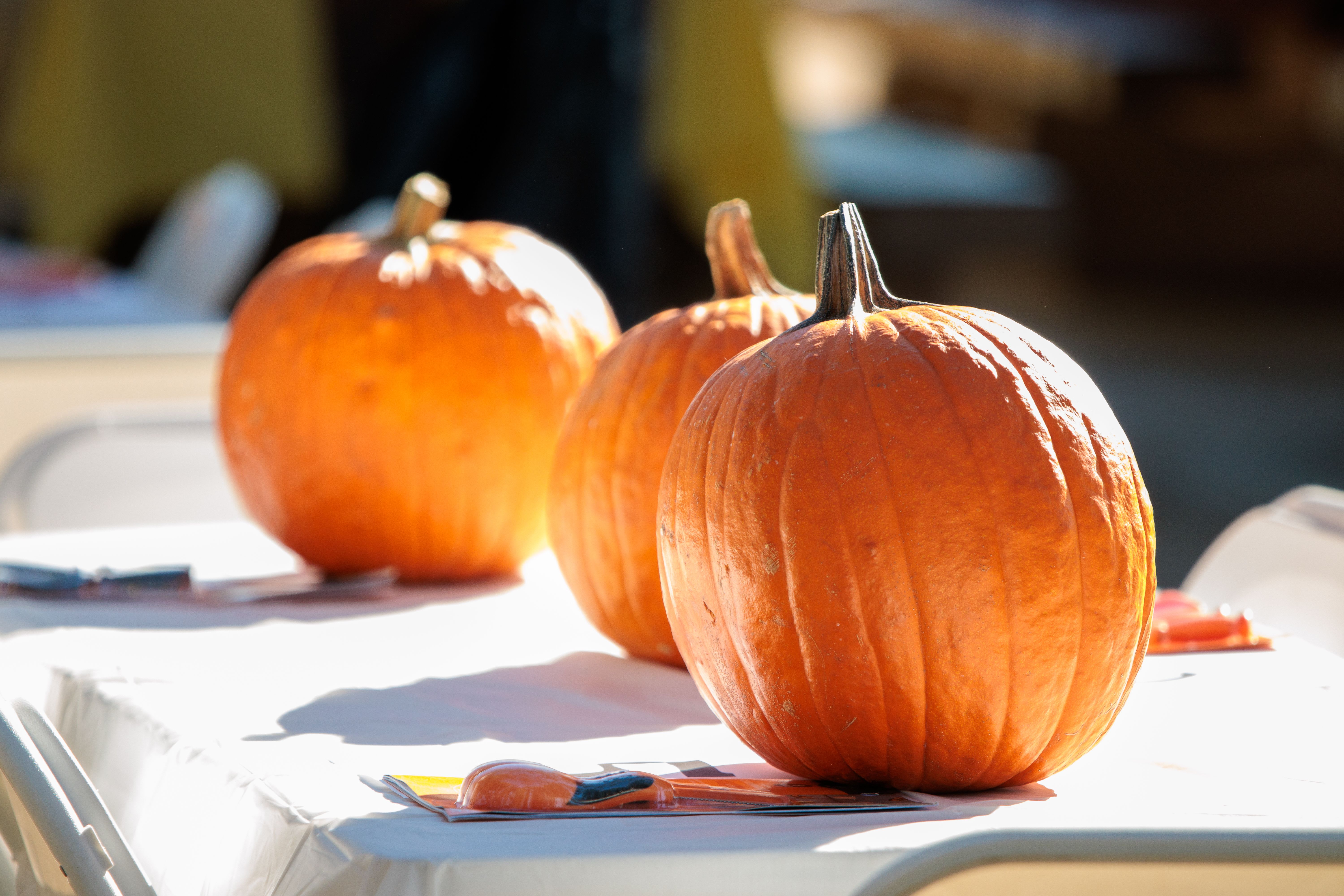 7 Fall Fairs and Festivals to Visit Around New England in 2026 inception-app-prod/ODZiODc2OWQtZDJlOC00OTM1LWEzOWQtNjIzZTM4YTRkMzdl/content/2026/10/2d6c857affd751eb2804275539983f0306fec9fa.jpg