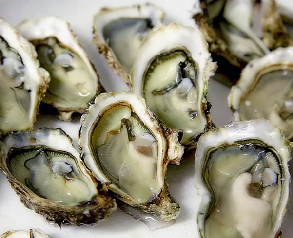 Seasonal Events on The Cape inception-app-prod/ODZkZjE2YjAtNWYxOC00ZGZmLWFjOTQtYmU3ZWMzOGQ5NmVh/content/2022/09/e57de33bbe4131e16d00ca3c3debdbb4d8524b73.png