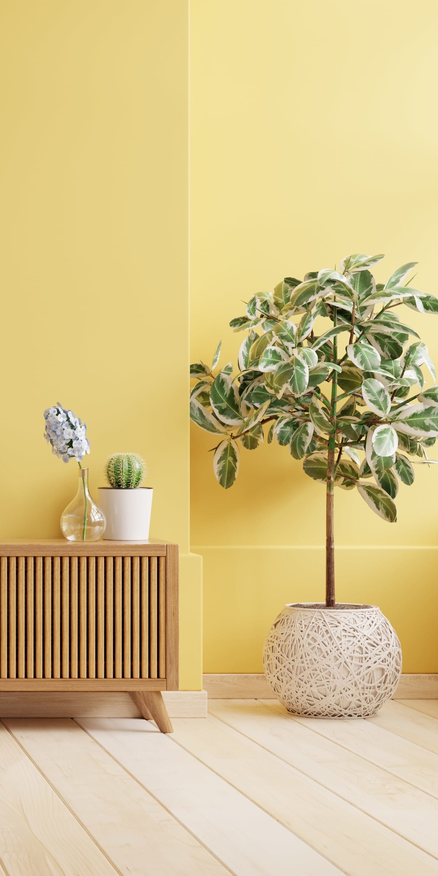 SELL inception-app-prod/ODg3NzViZmYtNDAwOC00ODFmLThmNWYtMzdkZThlYzlhZTI0/content/2022/12/b0f59d174e4f3474652021f80178113162874811.jpg