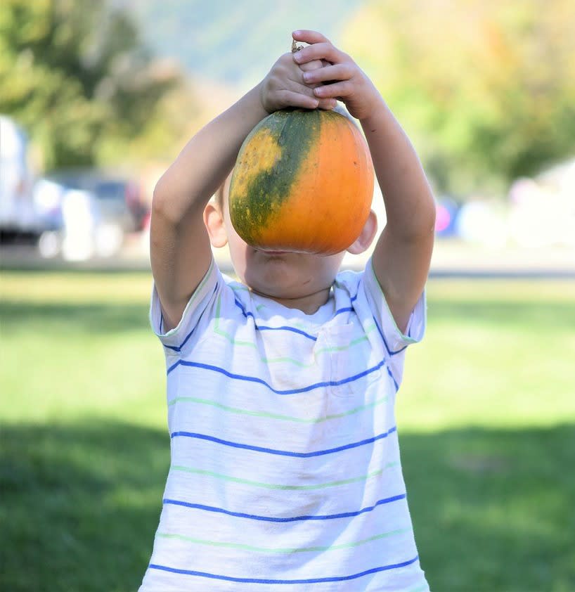 inception-app-prod/ODk3ZGFkZmYtNTBiNy00ODhkLWJlMWYtMDMxNWQyYTA5ZDMw/content/2017/10/Fall Festival Blog Post.jpg