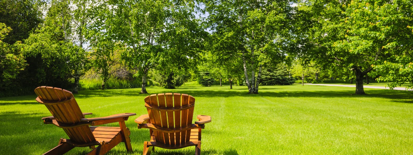 inception-app-prod/ODk3ZGFkZmYtNTBiNy00ODhkLWJlMWYtMDMxNWQyYTA5ZDMw/content/2017/10/Land 26.png