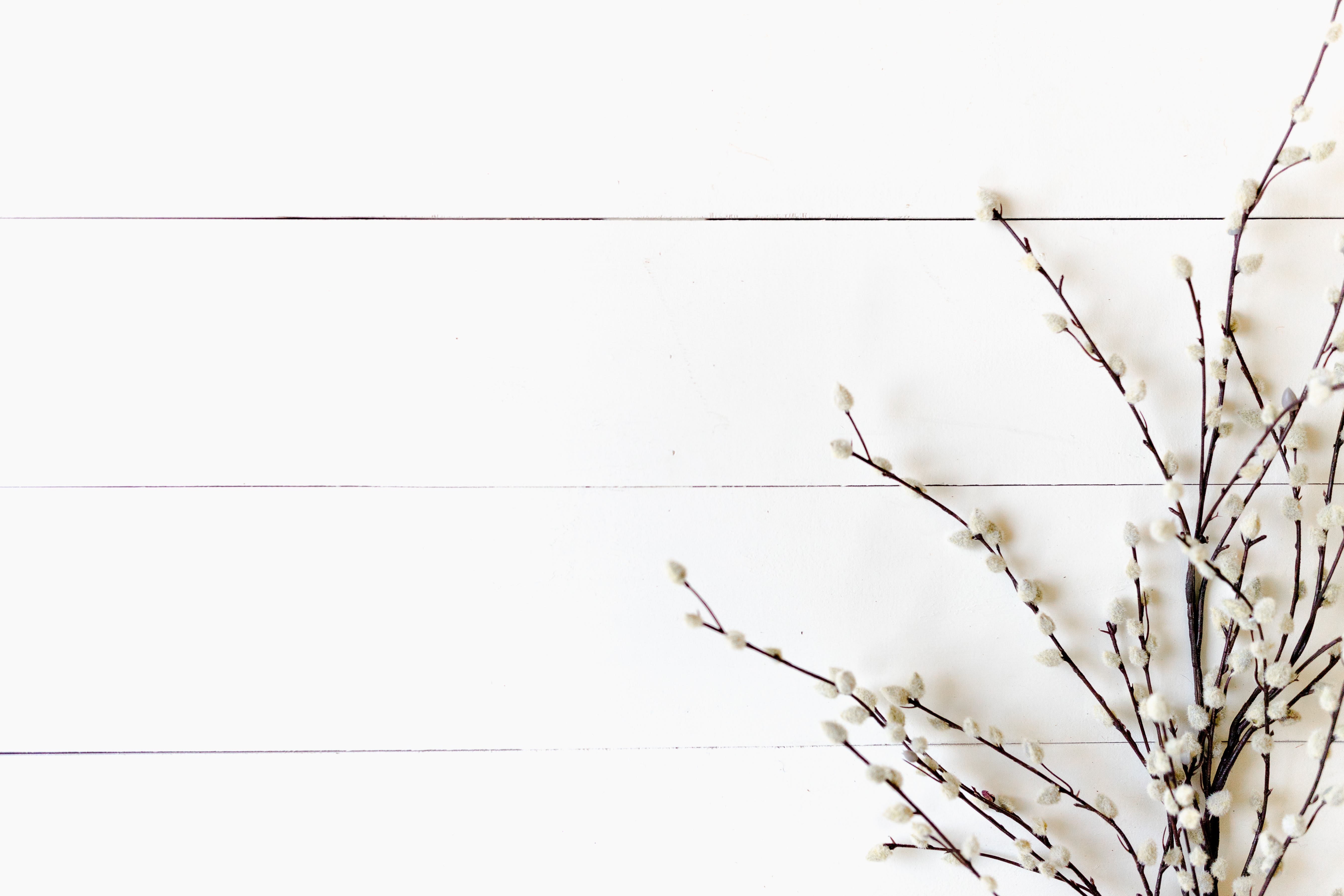 Success stories inception-app-prod/ODk4OWI1ZTAtNTJlNC00N2MwLWEyOTAtODBmYWRlNTY4M2M5/content/2022/11/1fb32b6b3dd02e588b5860c1e2c6b5f58e8999d6.jpg