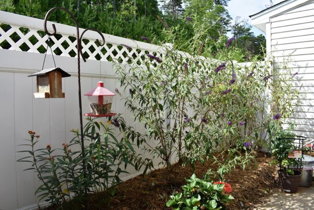 inception-app-prod/OGFmOWNiOGUtMzcxMi00ODZmLTlhYmQtZmE5OTBmNDRjOGE3/content/2019/03/Towns At South Village- Back Yard.jpg