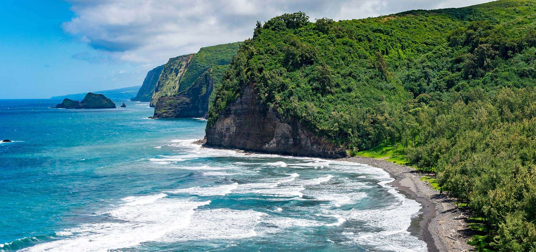 NORTH KOHALA inception-app-prod/OGM5NjBmNGQtZjQyYy00YjRkLWEwZTYtODM2NDQ5OTUyYTNk/content/2026/02/918d15173bbbedbb66adc2ae411ca7c27fd3a4cf.jpg