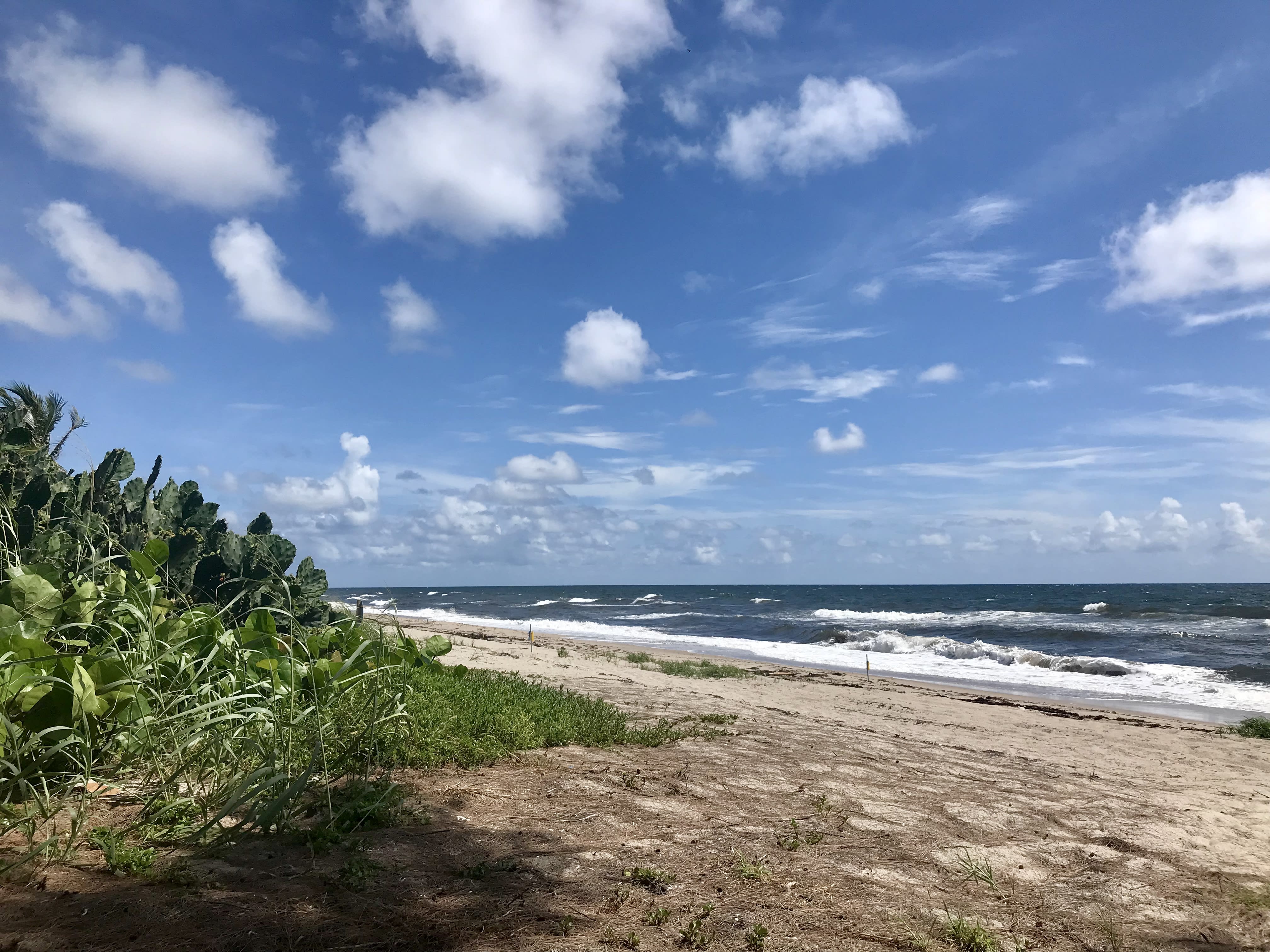 Delray Beach inception-app-prod/OGQ4NWY3N2YtYzcwNi00MDI2LWIzYTEtNzMyM2Y2ZjE0Njdm/content/2019/09/0ec114f9-e4b5-42f2-bd0a-d7cc73cc3d8e.jpeg