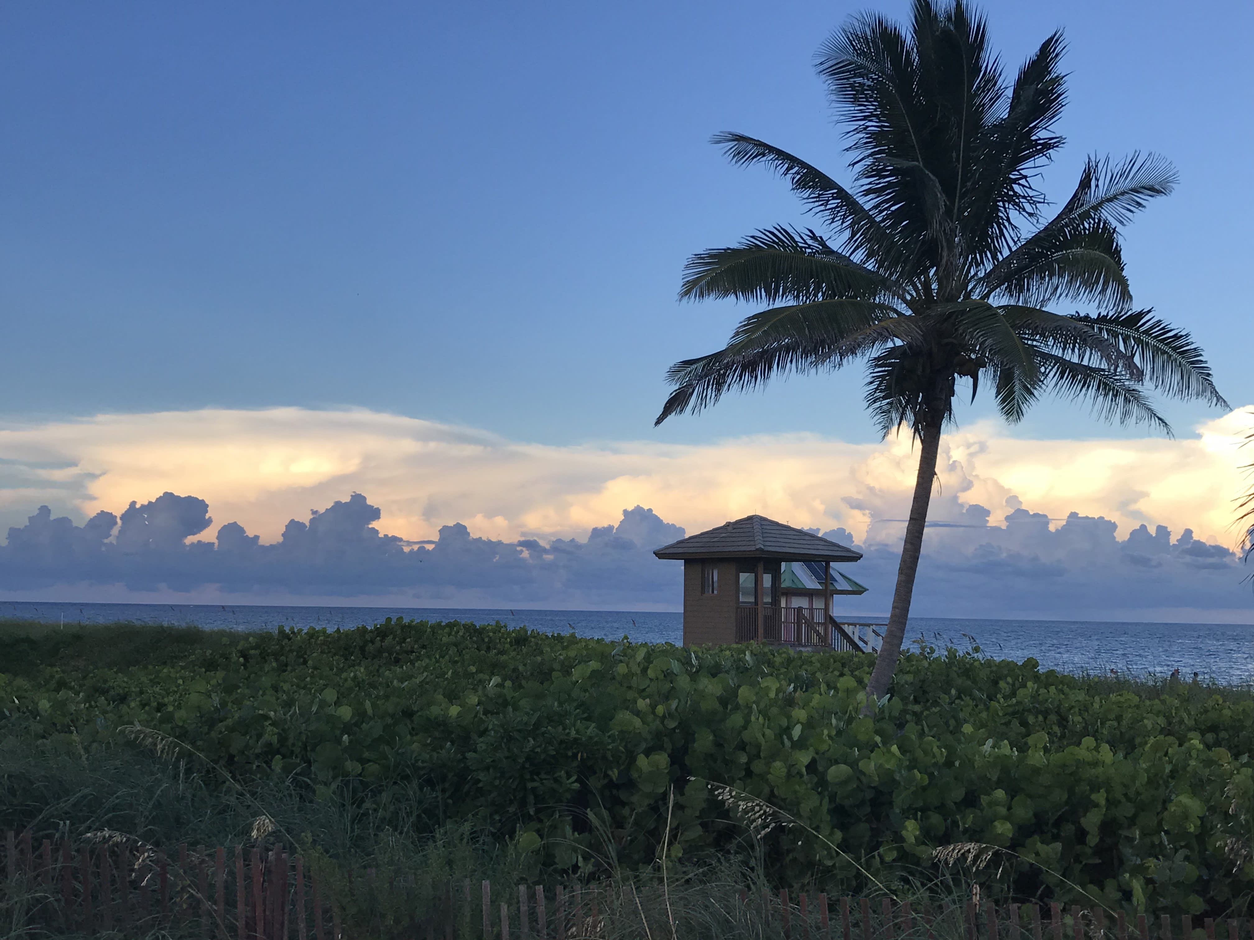 Delray Beach inception-app-prod/OGQ4NWY3N2YtYzcwNi00MDI2LWIzYTEtNzMyM2Y2ZjE0Njdm/content/2019/09/ae8b04b9-bb89-4438-a7c0-157c408e9c63.jpeg