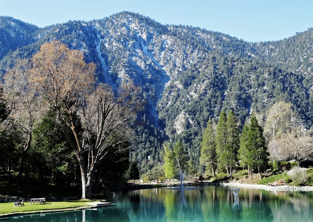 Forest Falls inception-app-prod/OGRjNjE1ZDUtYWMyZi00MzdjLWI2NzYtMjg3MzQwMTgzMTNm/content/2022/05/c9289cbe17ac840cc6ffee64d493a21196826f44.jpg